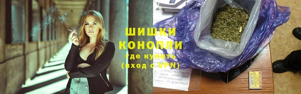 гидра Липки