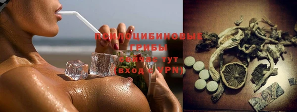 гидра Липки