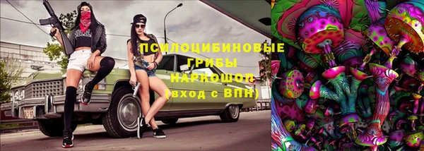 ГАЛЛЮЦИНОГЕННЫЕ ГРИБЫ Лихославль
