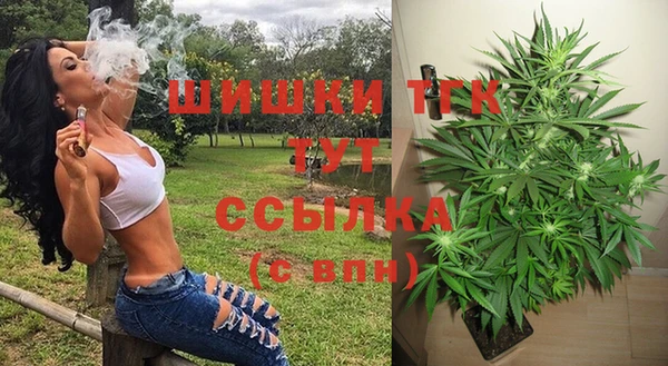 ГАЛЛЮЦИНОГЕННЫЕ ГРИБЫ Лихославль